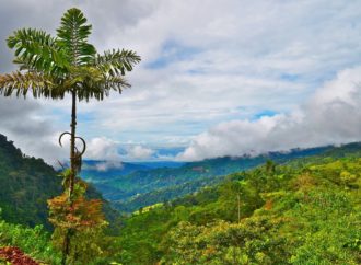 Costa Rica Travel Experiences You Shouldn’t Miss!